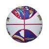 Wilson 2025 NBA All Star Mini Ball WZ3020201XB